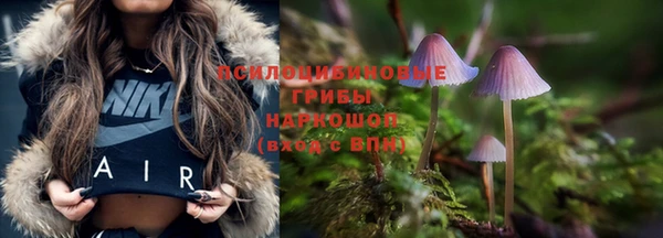 каннабис Абаза