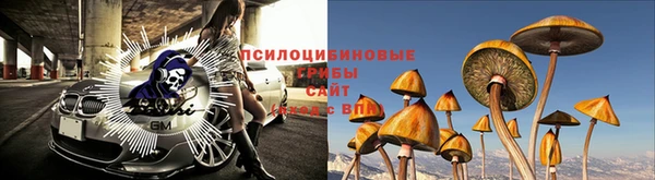 кокс Алексеевка