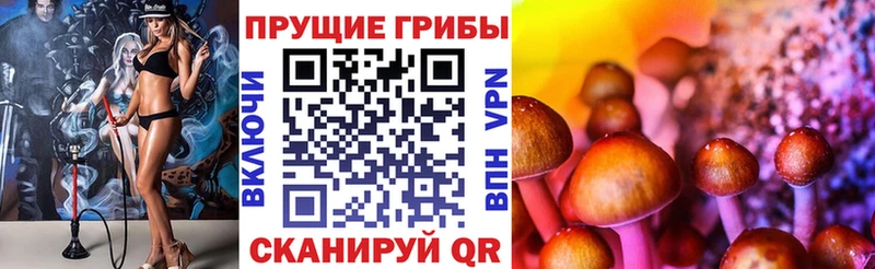 ссылка на мегу зеркало  Слюдянка  Галлюциногенные грибы Cubensis 